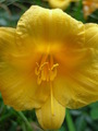 2007-Louisiana-Mission-Trip EBC (492).JPG